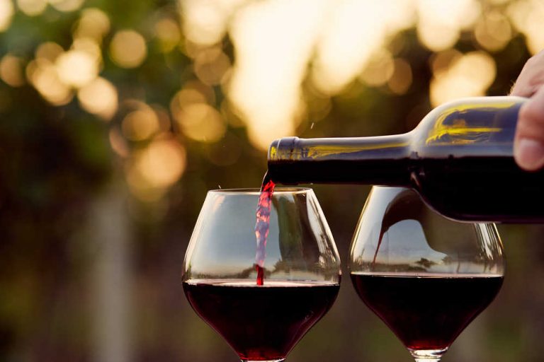 ¿Sabes qué copa usar con cada vino?